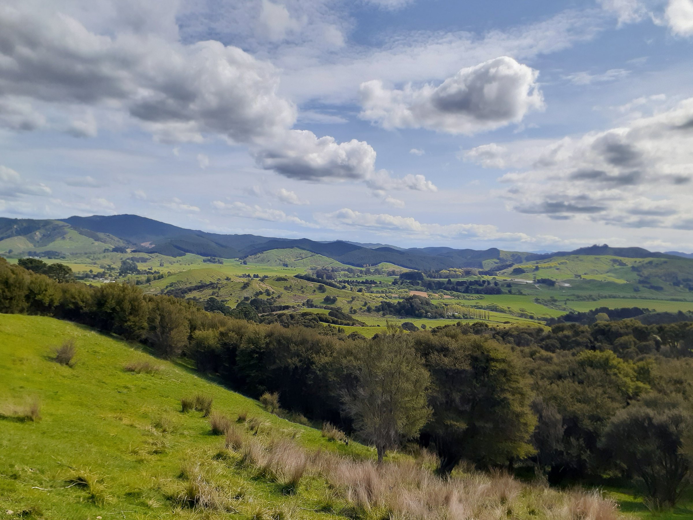 Rolling Wairarapa farmland and distant ranges